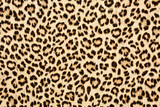 leopard skin background texture, real fur retro design, close-up wild animail hair modern