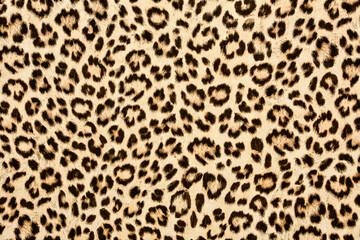 leopard skin background texture, real fur retro design, close-up wild animail hair modern