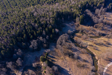 Wall Mural - Drone shot flying on spring river in forest