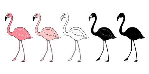 Set of various flamingos, isolated on white background. Good for card, t-shirt design, fabric print, decoration, etc. Hand-drawn vector illustration.