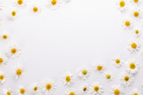 Fototapeta Krajobraz - Summer flowers background.Chamomiles or daisy flowers on white background.Top view.