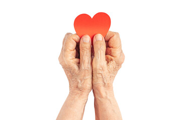 Wall Mural - High quality image of the old wrinkled hands with a red paper heart isolated on white.  Life concept.