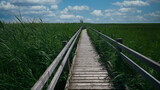 Fototapeta Pomosty -  A wooden path along the lake through the reeds to the observation tower.