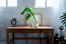 Plant In Glass Vase By Golden Ball On Wooden Desk In Bedroom At Home