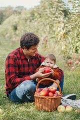 Wall Mural - Happy father with baby boy on farm picking apples in wicker basket. Gathering of autumn fall harvest in orchard. Dad feeding son with healthy snack. Seasonal activity and hobby.