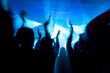 © Westend61 - Crowd cheering during electronic music festival