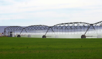 Wall Mural - Arroseur agricole pulvérisant de l'eau sur un champ