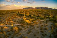 Golden Hour In The Sonoran Desert National Monument, Maricopa County, Arizona, Looking Towards The Sand Tank Mountains
