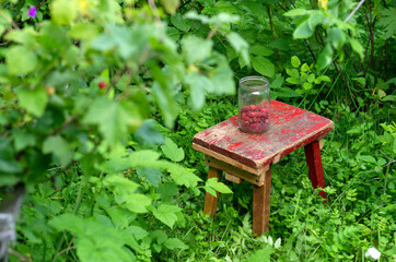 Glass jar of red ripe raspberries on an old bench in a green garden