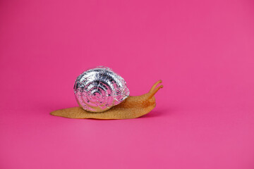 shiny snail on a pink background