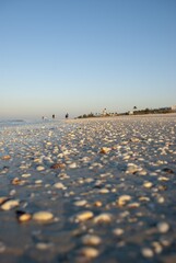 Poster - Close up shot of beach stones on the sand shining under the sun