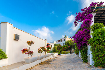 Wall Mural - Bodrum Town street view in Turkey