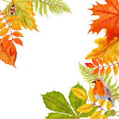 Wall Mural - Watercolor autumn leaves background on white background.