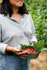 Wall Mural - Young farmer woman is holding in her hands metal bowl with ripe red raspberries just picked from the bush. Green background, close up. Concept of natural organic products, farming, low calories meal