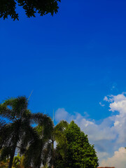 photo of a traveling scene, with beautiful views of clouds and trees