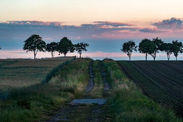 Wall Mural - Abendsparziergang