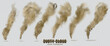 Dusty cloud or brown dry sand flying with a gust of wind, sandstorm, explosion realistic texture with small particles or grains of sand illustration 2 set isolated on transparent background. Vector.