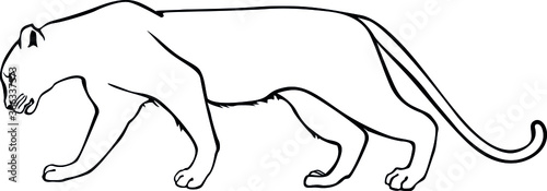 Fotomural Leopard. Panther. Contour vector isolated image.
