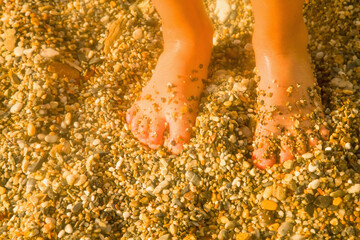 Wall Mural - Summer holiday concept. Children's feet on the sand by the sea.