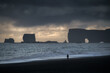 © Ivan Kurmyshov - Reynisfjara Black Sand Beach landscape in South Iceland near Vik village