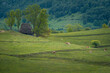 View of a small barn house with cows grazing on the hills in abeautiful scenery