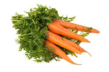 Fresh carrots with a tops isolated on a white background