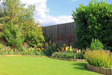  Colourful flowers and shrubs in a pretty garden.