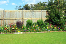 A Flower And Shrub Border In A Pretty Garden Surrounded By A Wooden Fence And Well Maintained Lawn.