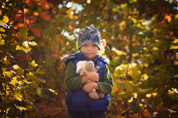 Little boy is standing in fall leaves, boy is playing with plush toy in autumn nature