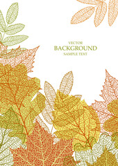 Wall Mural - textured background with autumn leaves. natural element. plant print. vector season banner, template