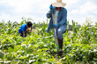 © Gerald Carter/Creative Flame - Mother and daughter working in garden farm