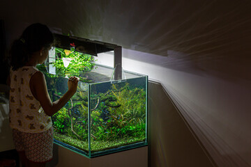 kid maintenance freshwater aquarium  at night