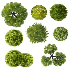 Wall Mural - set of watercolor green tree top view for landscape plan and architecture drawing