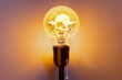 Brain In Light Bulb Creative Thinking Process Idea