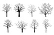 Trees silhouettes set isolated on white background.. Vector illustration