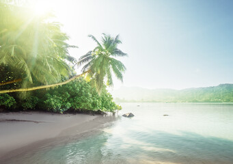 Wall Mural - beach on mahe island, seychelles