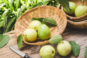 Wall Mural - Fresh guava slice- Healthy fruit