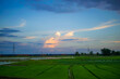 © JAHAINGER - blue sky  with white clouds over field