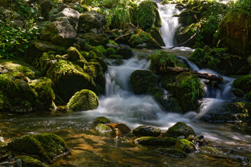 Small waterfall in a forest of Belledonne