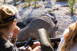 © Mint Images - Two people in a jeep looking at a dead elephant carcass.