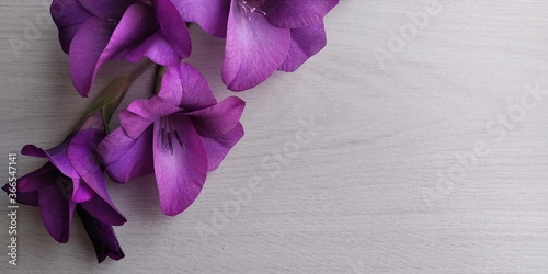 Fotografía tavolo bianco con fiori viola aperti