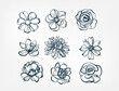 flower set line one art isolated vector illustration