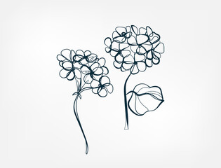 Wall Mural - flower line one art isolated vector illustration