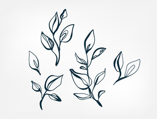 leaves decorative line one art isolated vector illustration