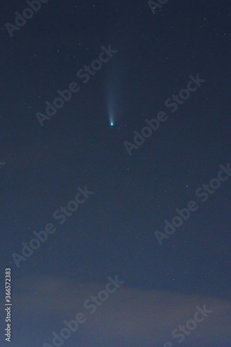Cuadros en Lienzo A shot of C/2020 F3 or Comet NEOWISE, a long period comet with a near-parabolic orbit discovered on March 27, 2020, by astronomers during the NEOWISE mission