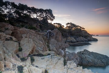 Wall Mural - beautiful scenery of the rocky coast of provence near le lavandou at dawn