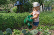 © Елена Гурова - little girl watering cabbage in the vegetable garden