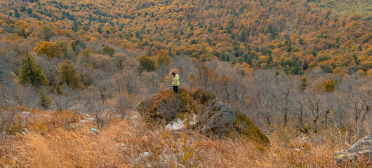 Poster - travel life style nature photography of autumn forest top view scenery and woman far from camera on edge of rock