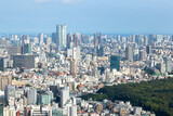 Fototapeta Nowy Jork - 東京都庁南展望台から見た　東京の街並み