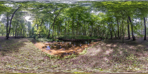 Wall Mural - full seamless spherical hdri panorama 360 degrees angle view among the bushes and trees of forest near small river in equirectangular projection, ready VR AR virtual reality content